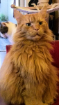 2013-09-24 22.14.54.png