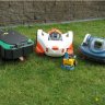 paddy